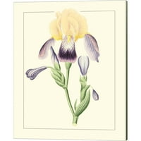 Great Art Now Purple Irises от Canvas Art Set всеки 12W 15h