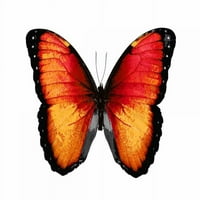 Жива пеперуда VI Poster Print от Julia Bosco JBC113367